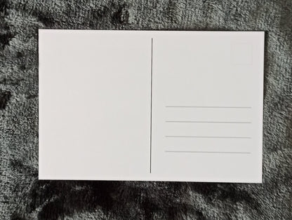 Pinguin Postkarten Rückseite